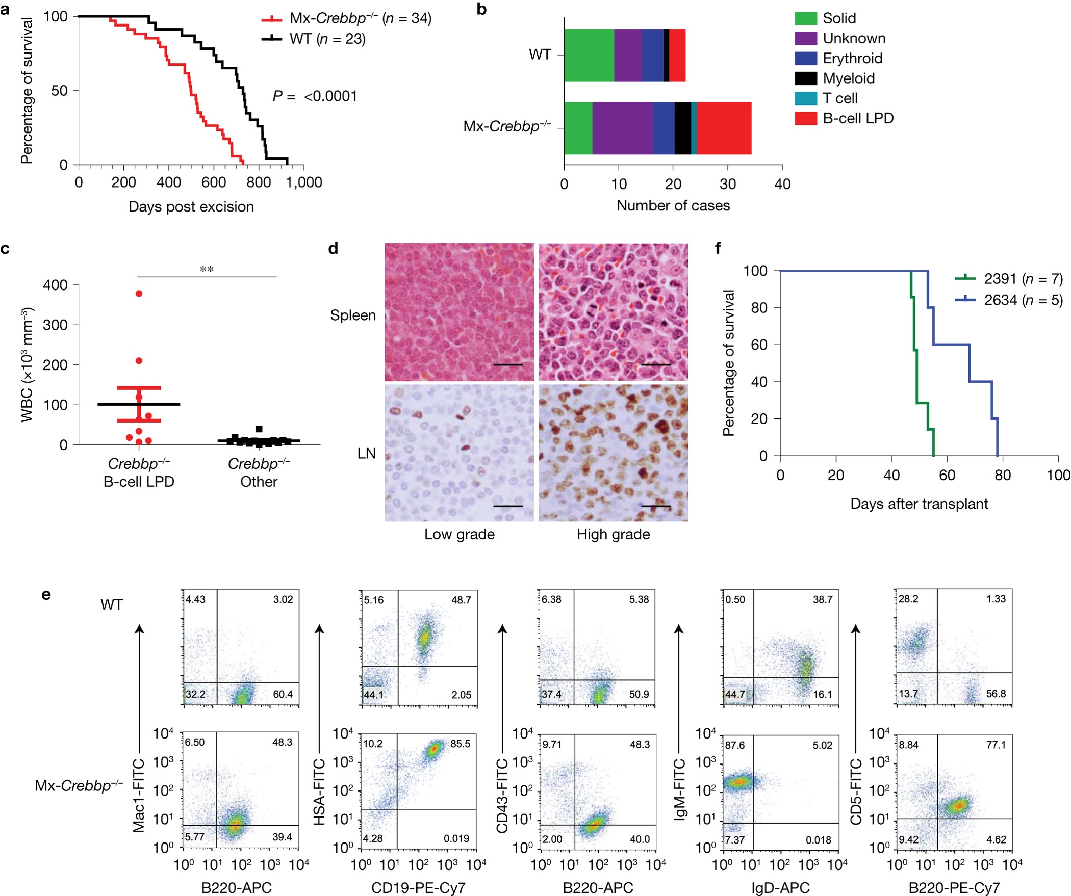 Mosaic CREBBP mutation causes overlapping clinical features of