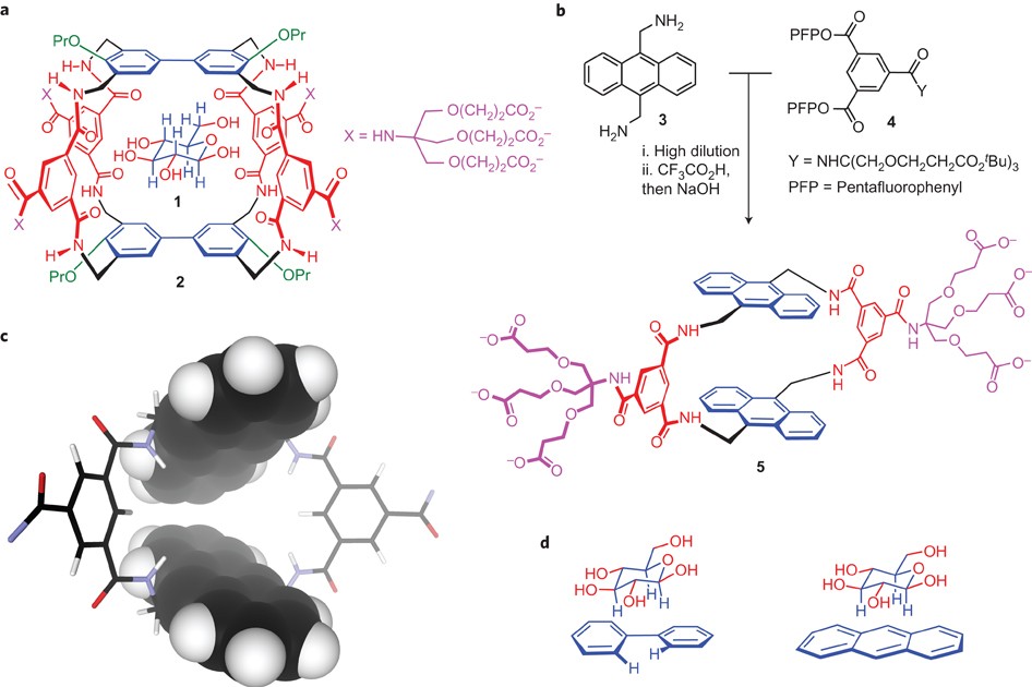 A simple and accessible synthetic lectin for glucose recognition and  sensing | Nature Chemistry