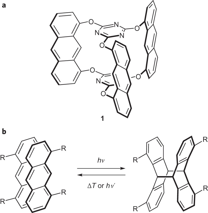 Gram Scale Synthesis Of Two Dimensional Polymer Crystals And Their