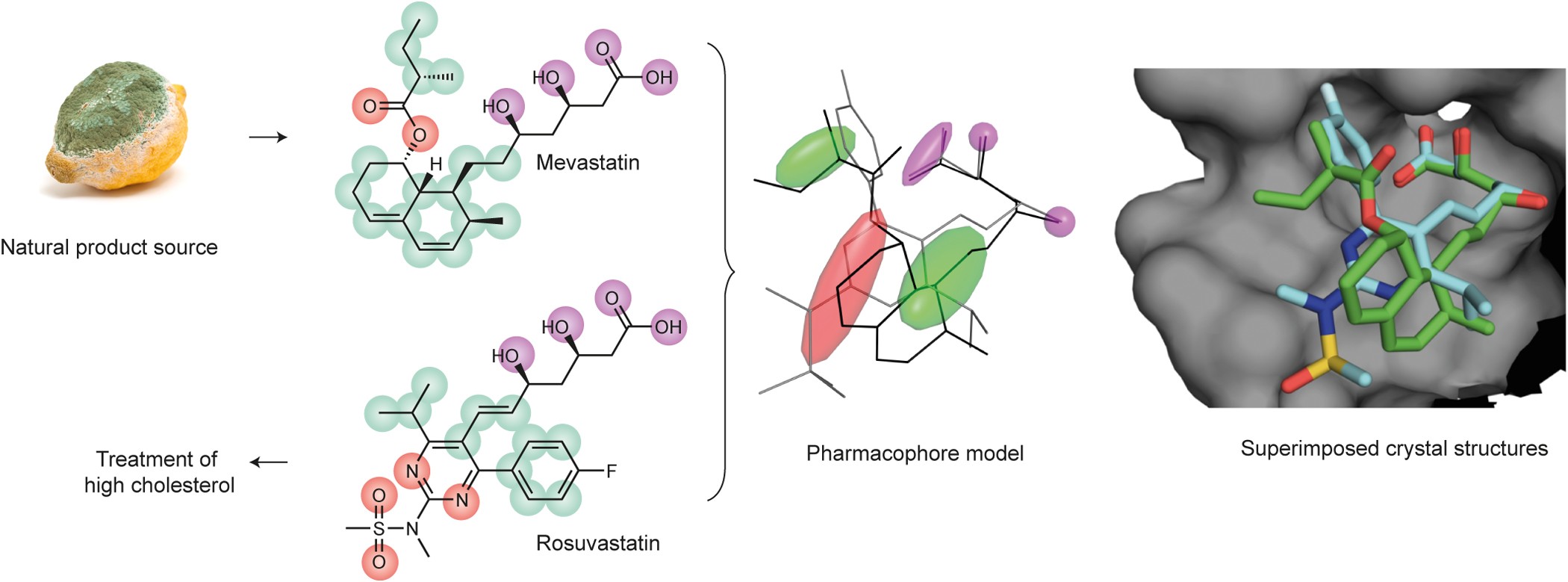 Counting on natural products for drug design | Nature Chemistry