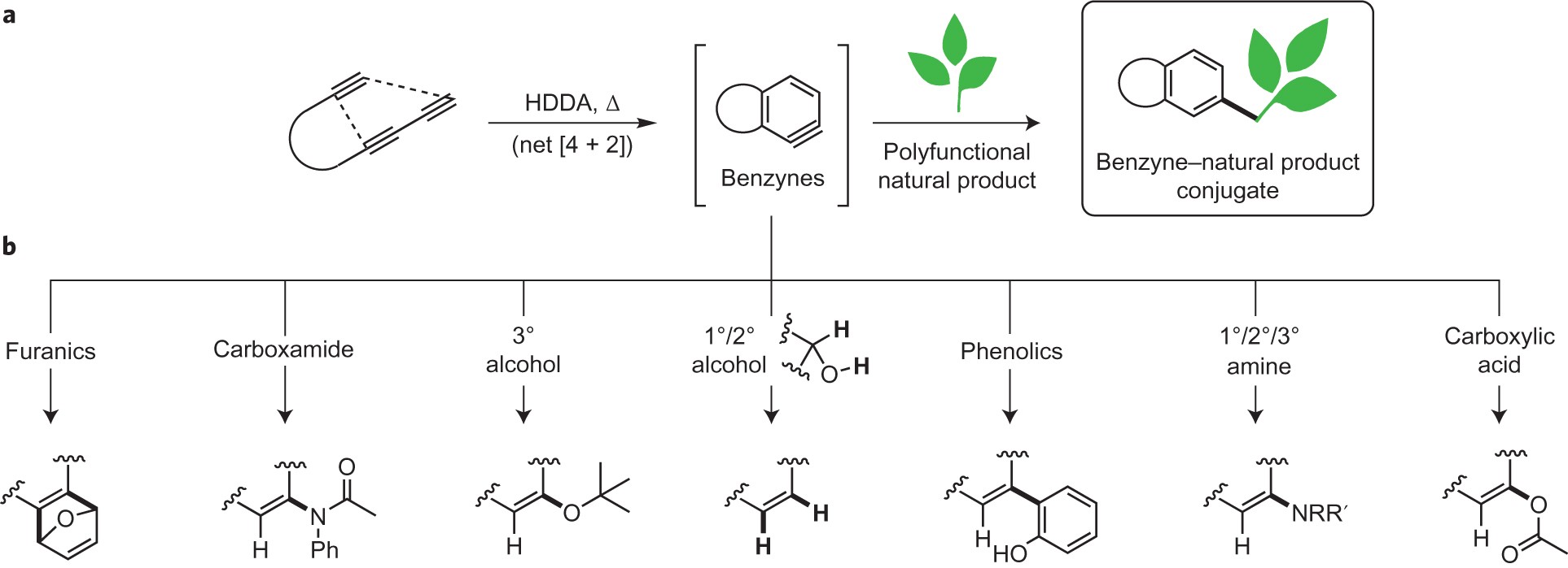 Reactions of hexadehydro-Diels–Alder benzynes with structurally complex  multifunctional natural products | Nature Chemistry