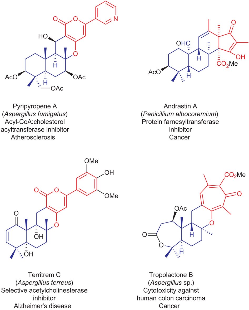 The chemistry and biology of fungal meroterpenoids (2009–2019) - Organic &  Biomolecular Chemistry (RSC Publishing) DOI:10.1039/D0OB02162H