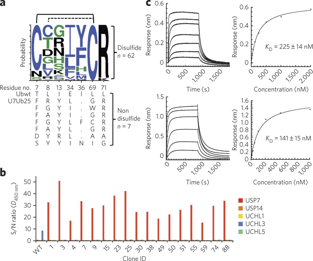 jomfru Kæmpe stor Landbrug Conformational stabilization of ubiquitin yields potent and selective  inhibitors of USP7 | Nature Chemical Biology