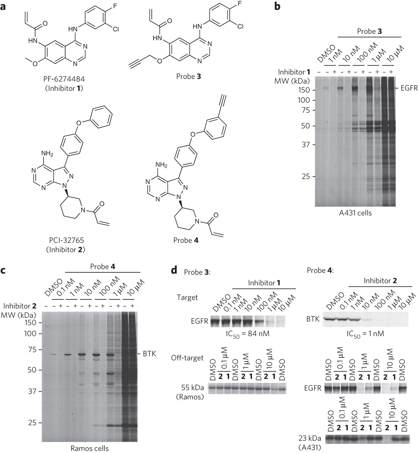 Relative Selectivity of Covalent Inhibitors Requires Assessment of  Inactivation Kinetics and Cellular Occupancy: A Case Study of Ibrutinib and  Acalabrutinib