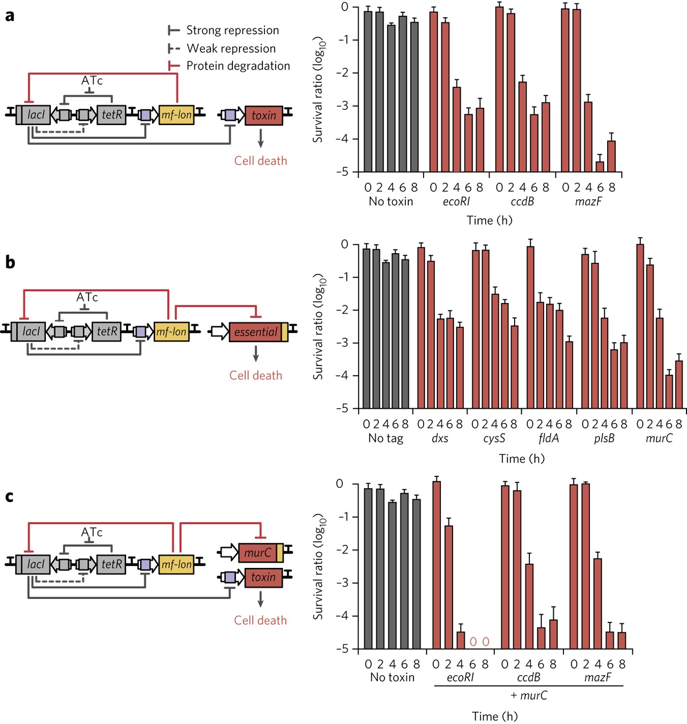 varm Panter forholdet Deadman' and 'Passcode' microbial kill switches for bacterial containment |  Nature Chemical Biology