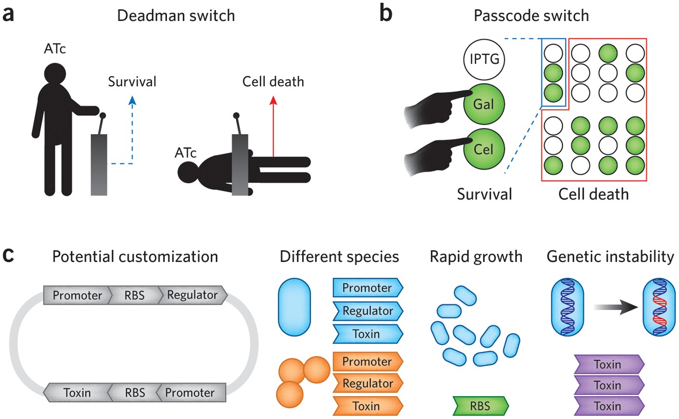 Building genetic containment | Nature Chemical Biology, image size:1395x861