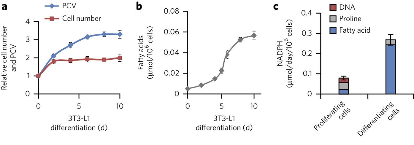 Malic Enzyme Tracers Reveal Hypoxia Induced Switch In