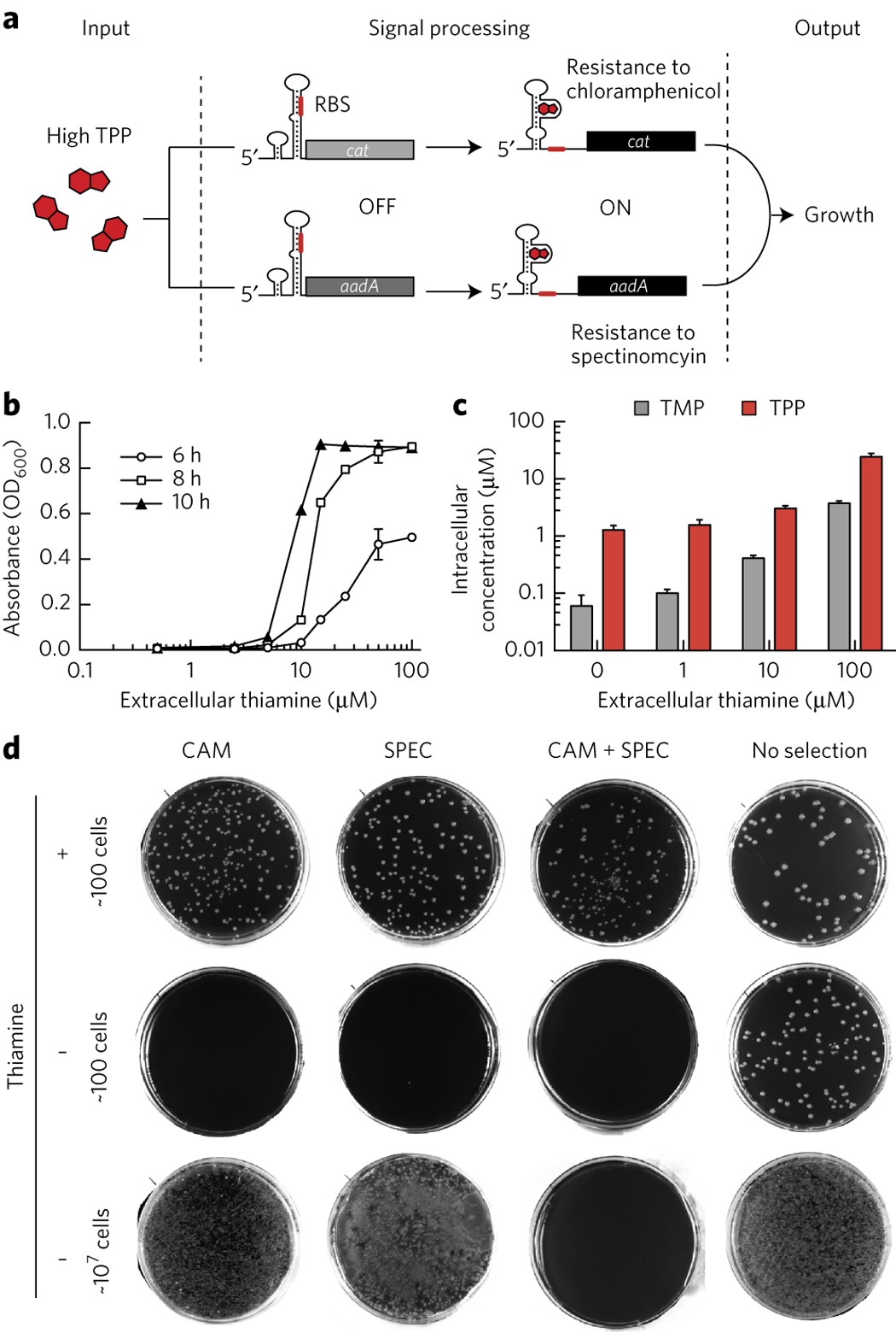 PDF) Mining Functional Elements in Messenger RNAs: Overview, Challenges,  and Perspectives