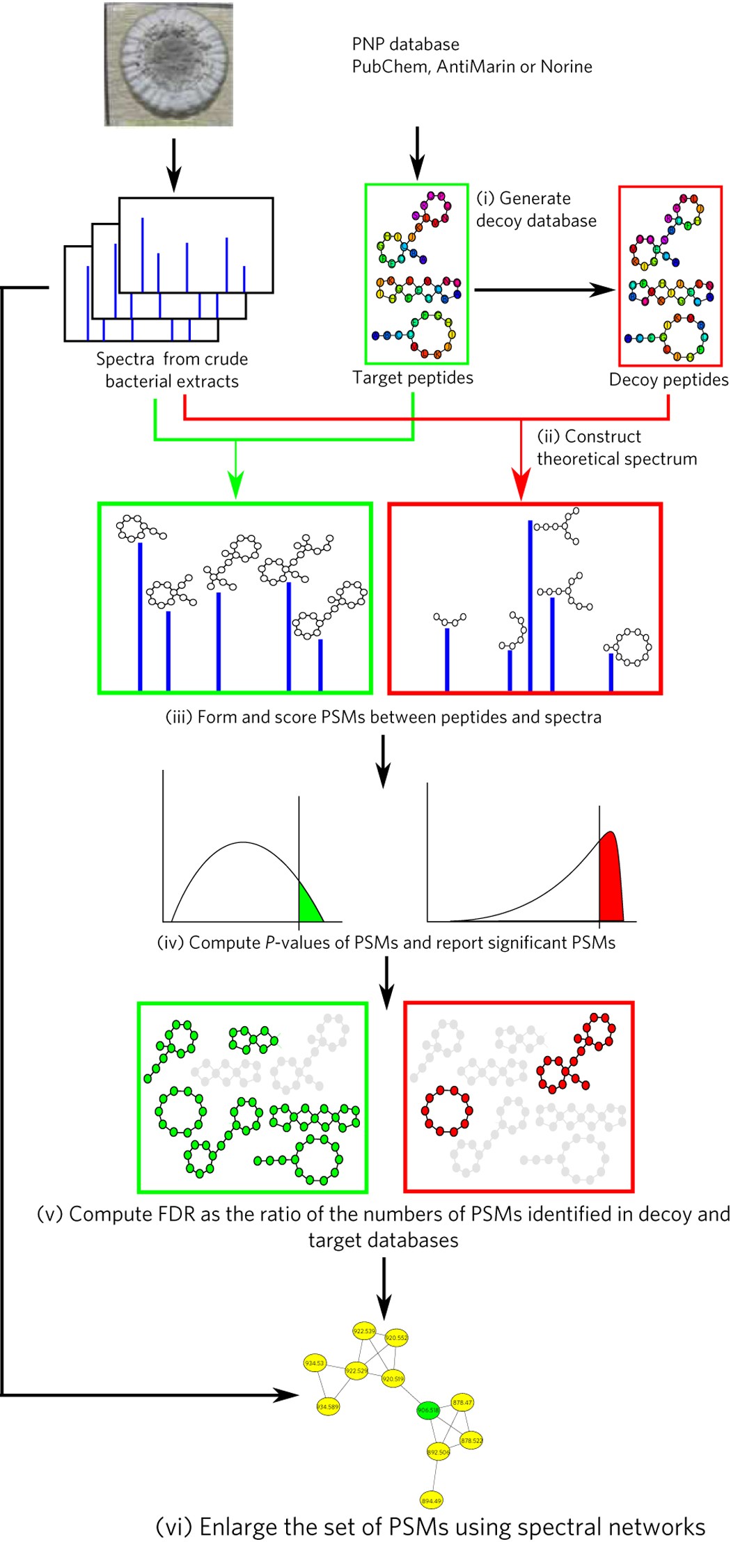 Dereplication Of Peptidic Natural Products Through Database Search Of Mass Spectra Nature Chemical Biology