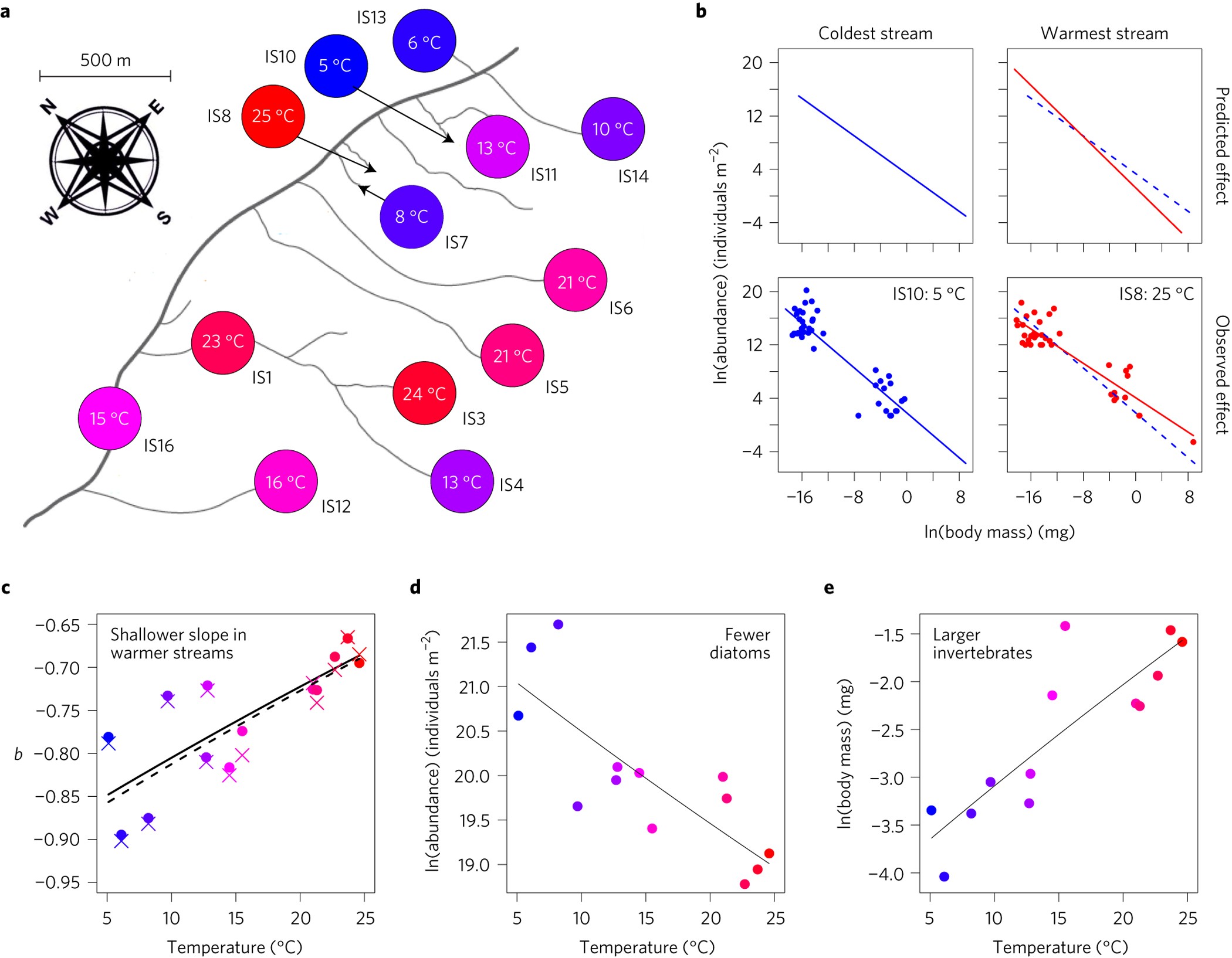 Unexpected changes in community size structure in a natural warming  experiment | Nature Climate Change