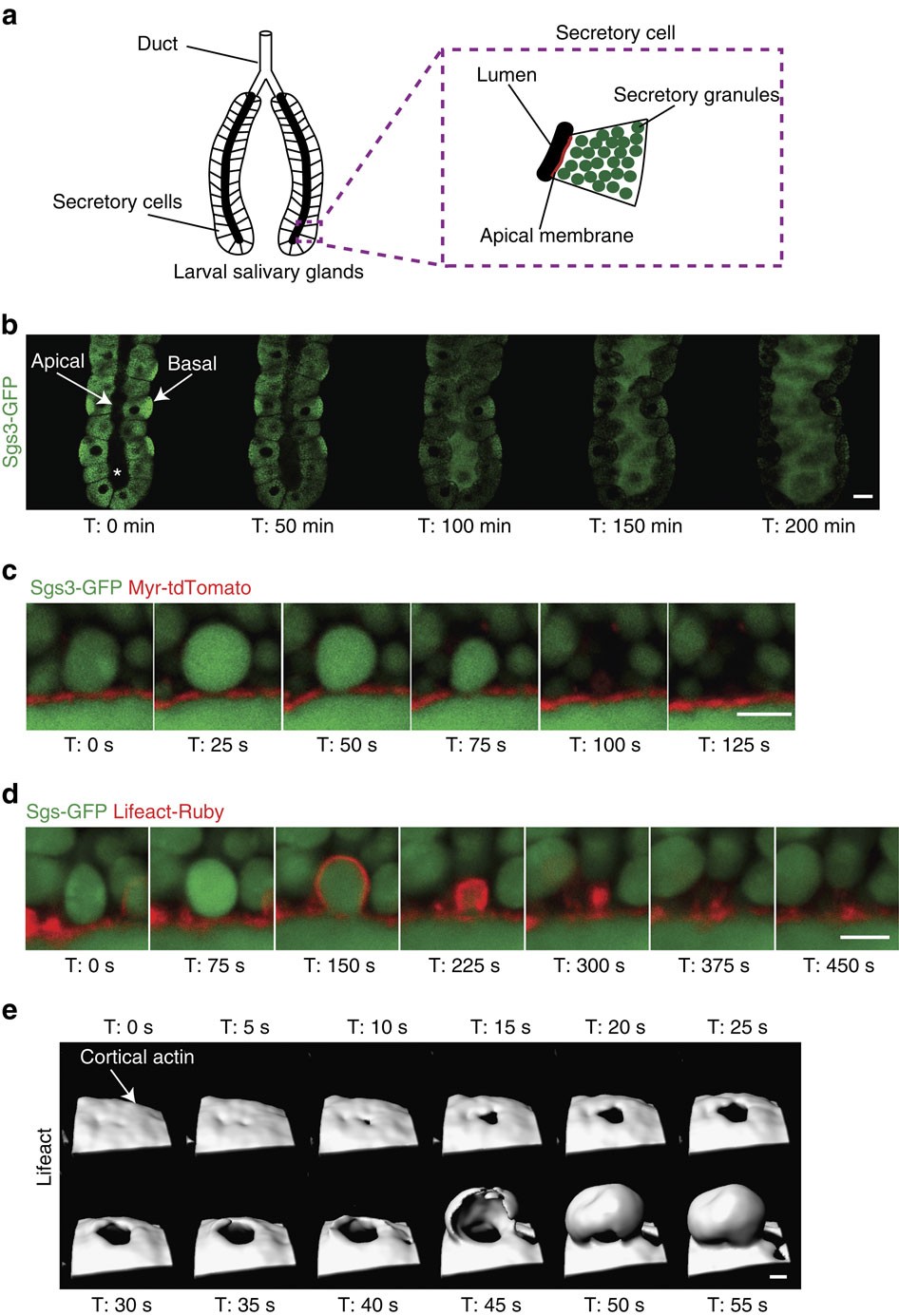 new balance 711 kinderen 2015