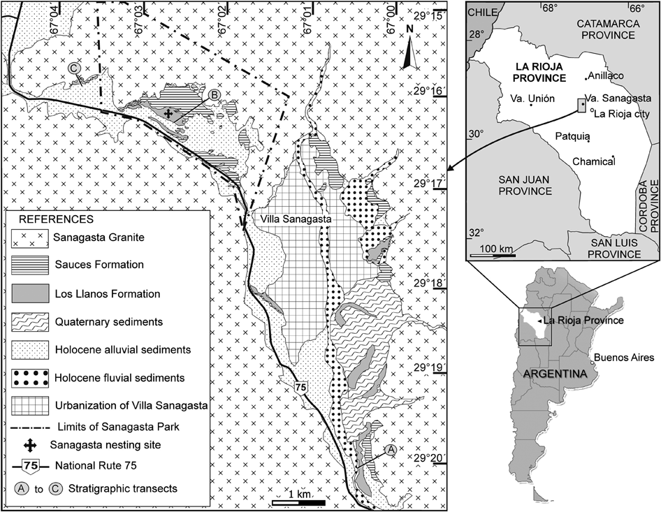 Argentina Sauropod Dinosaur Eggshell Fragments Small Late Cretaceous Sammeln Seltenes Com Mineralien Fossilien