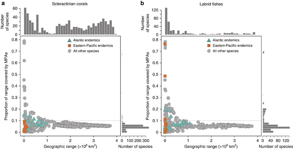 Scale‐dependent effects of marine subsidies on the island biogeographic  patterns of plants - Obrist - 2022 - Ecology and Evolution - Wiley Online  Library