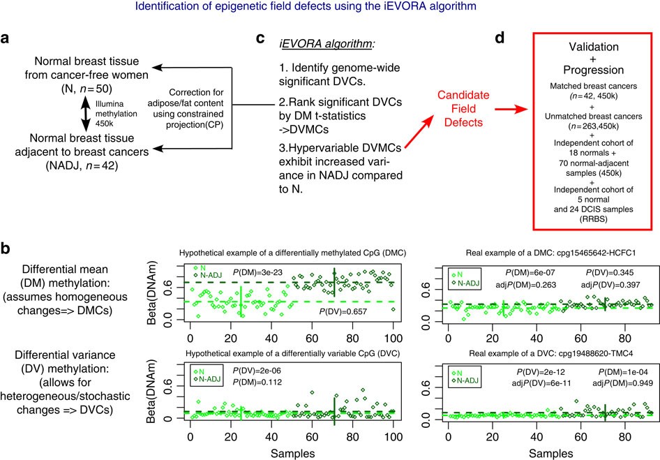 Dna Methylation Outliers In Normal Breast Tissue Identify - 
