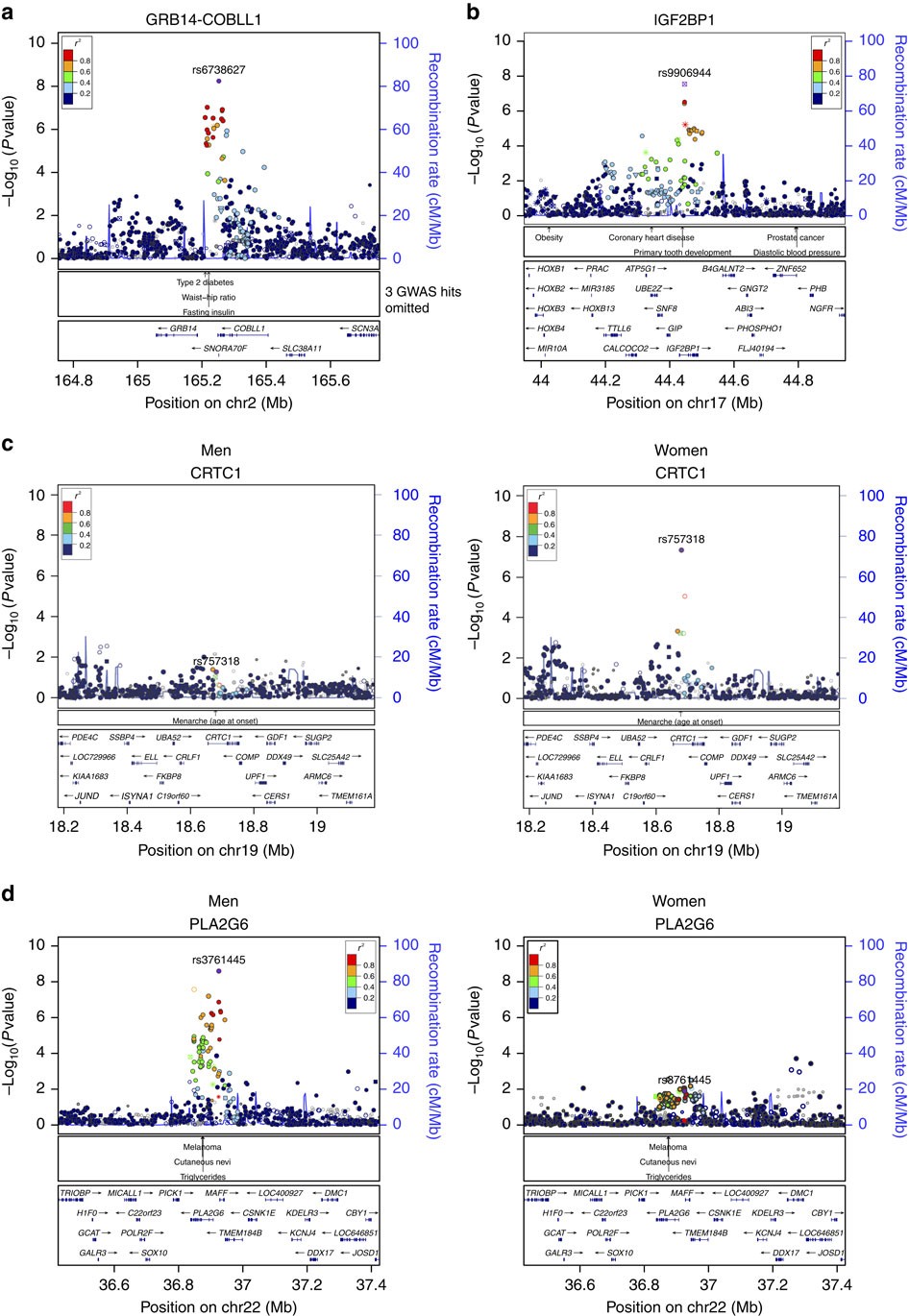 New Loci For Body Fat Percentage Reveal Link Between Adiposity And