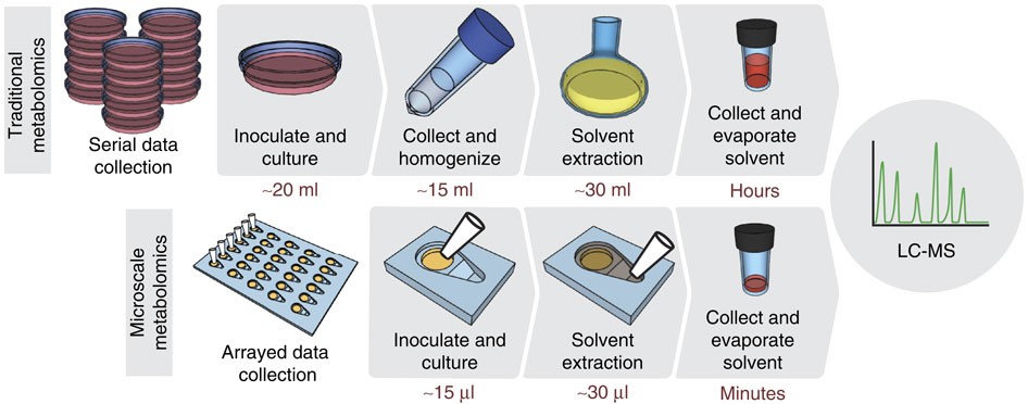 Microbial metabolomics in open microscale platforms | Nature ...