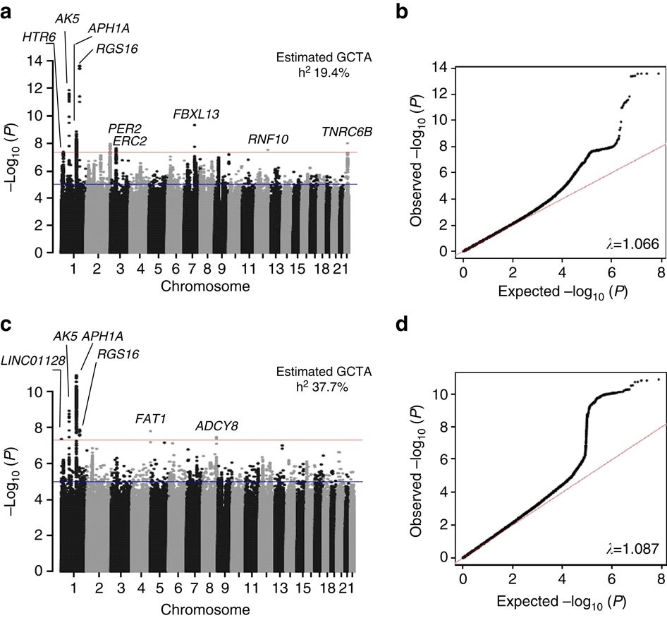 Genome Wide Association Analysis Identifies Novel Loci For Chronotype In 100 4 Individuals From The Uk Biobank Nature Communications Genome Wide Association Analysis Identifies Novel Loci For Chronotype In 100 4 Individuals From The Uk Biobank Nature Communications