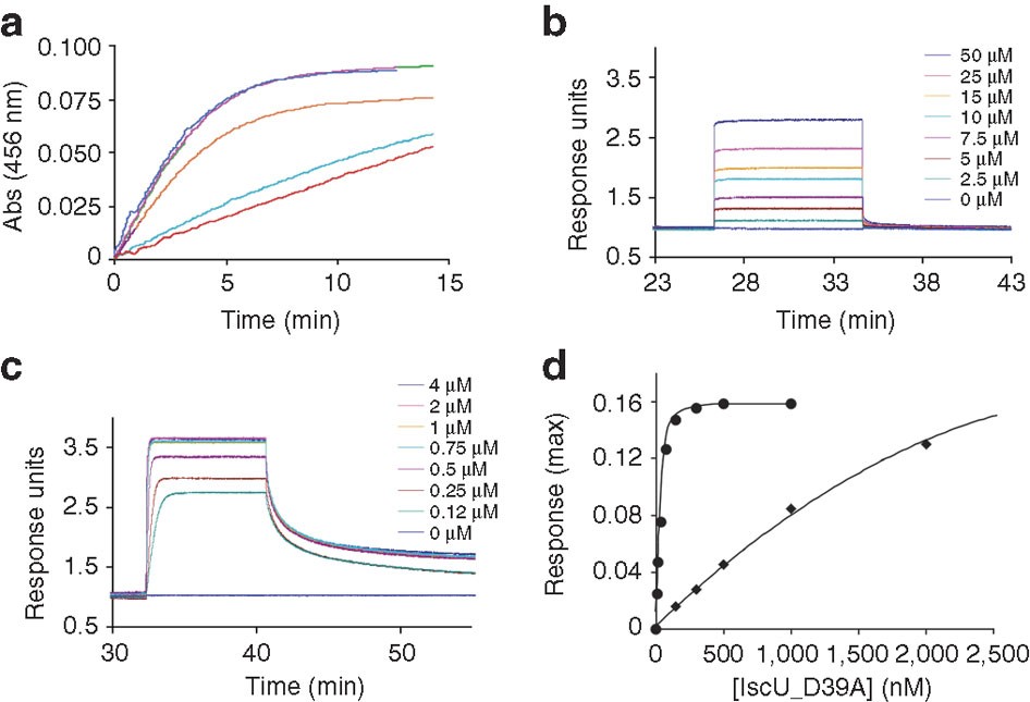 Figure 7: Influence of complex formation on the kinetics of cluster formation and on the complex affinities.