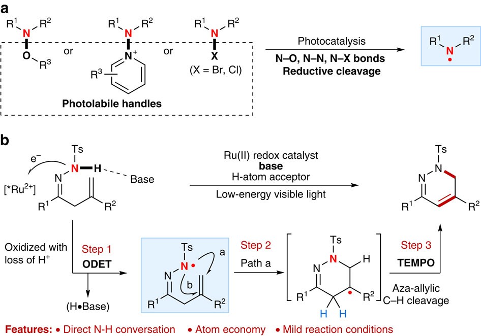 Total synthesis. P i реакция. P i реакция. Пропанол 2 ch3i. Реакции с защитой альдегидной группы.