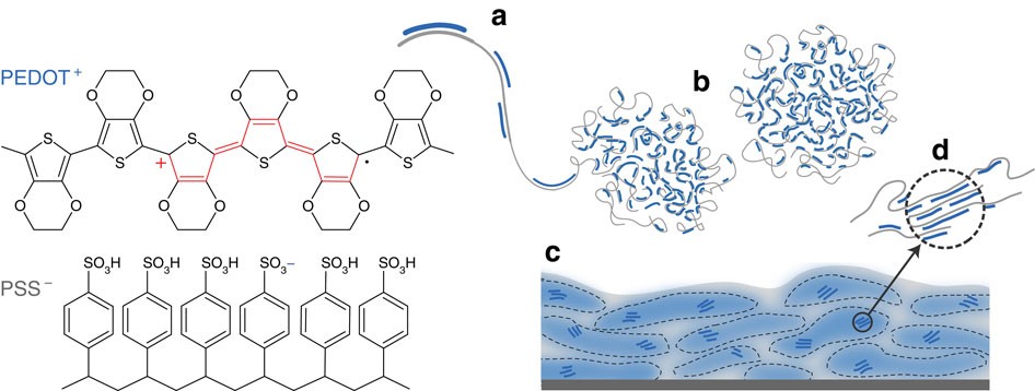 Controlling morphology and microstructure of conjugated polymers