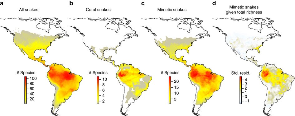 Coral snakes predict the evolution of mimicry across New World snakes |  Nature Communications