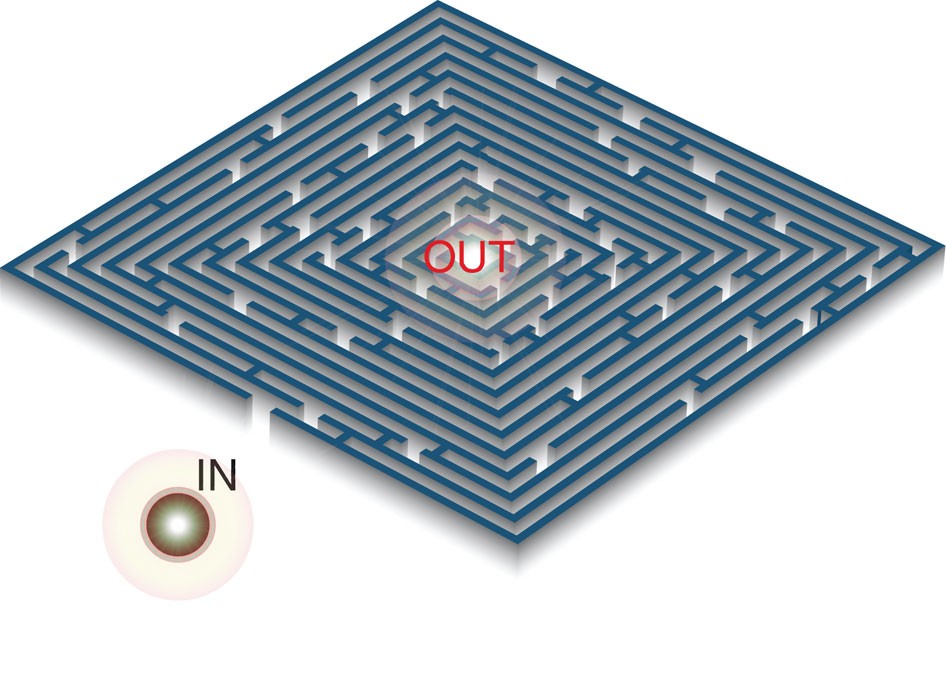 Fast Escape Of A Quantum Walker From An Integrated Photonic