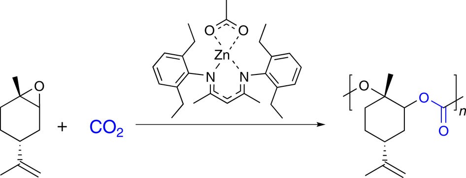 Is There a Replacement for Polycarbonate for Food Contact?