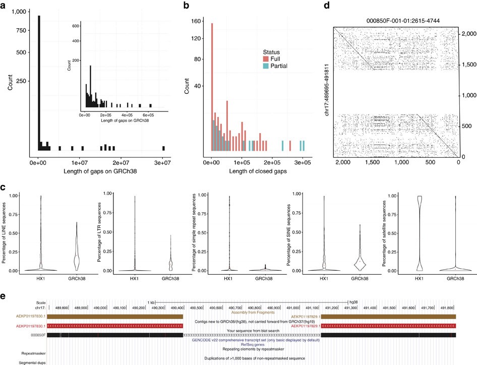 Orientation of flanking sequences neighboring to insertions in long reads