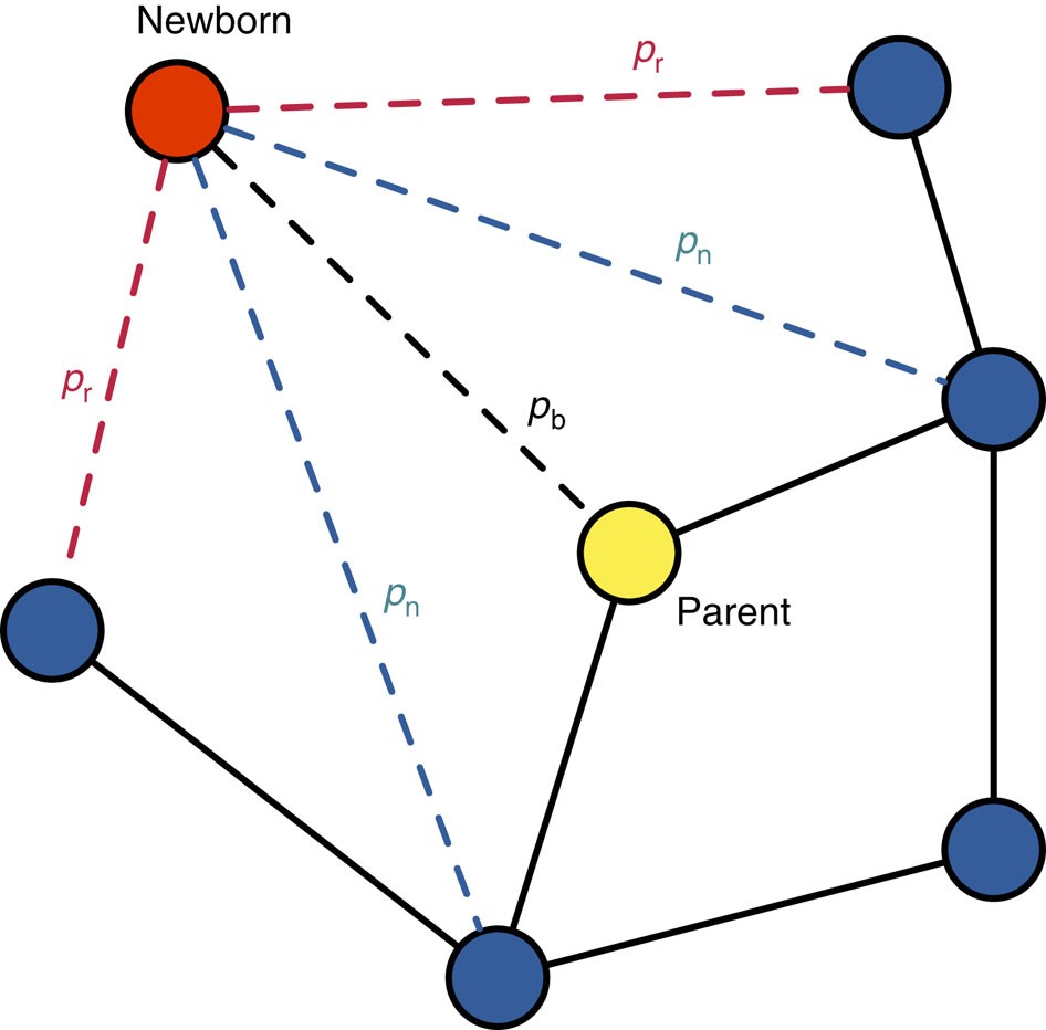 Social inheritance can explain the structure of animal social networks |  Nature Communications