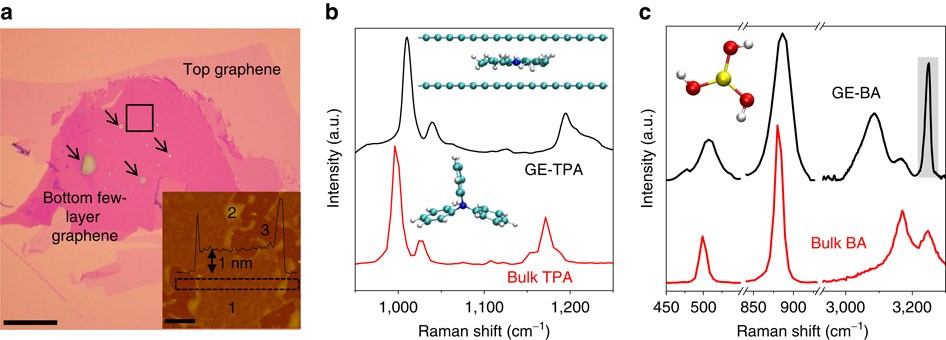 Van Der Waals Pressure And Its Effect On Trapped Interlayer Molecules Nature Communications