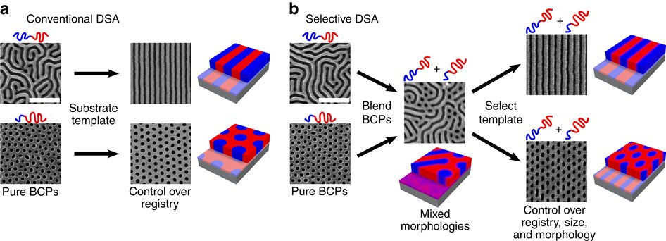 Area-Selective Etching of Poly(methyl methacrylate) Films by