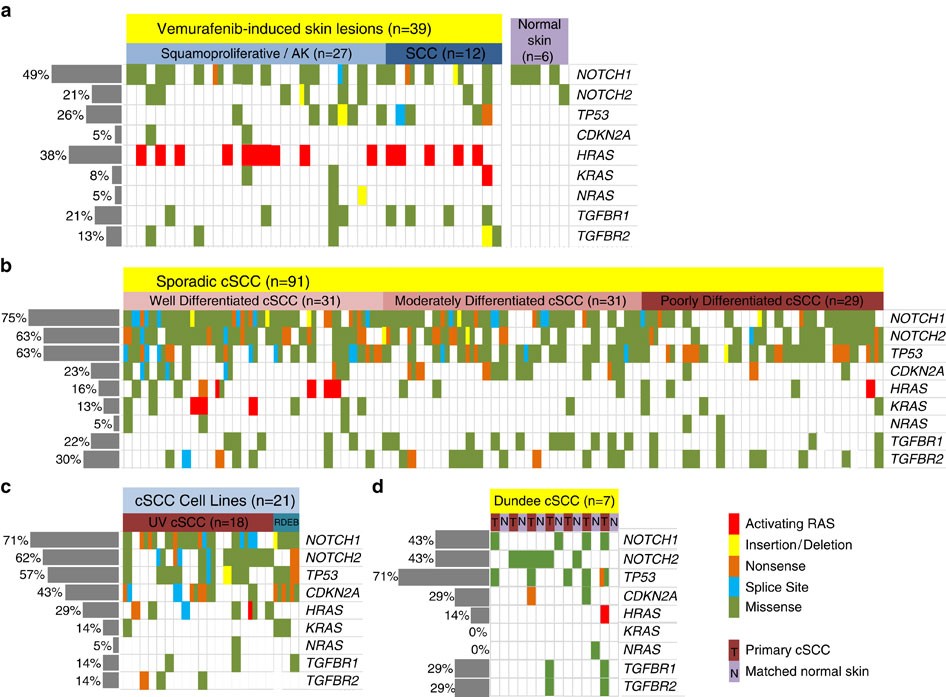 Inactivation Of Tgfb Receptors In Stem Cells Drives Cutaneous Squamous Cell Carcinoma Nature Communications