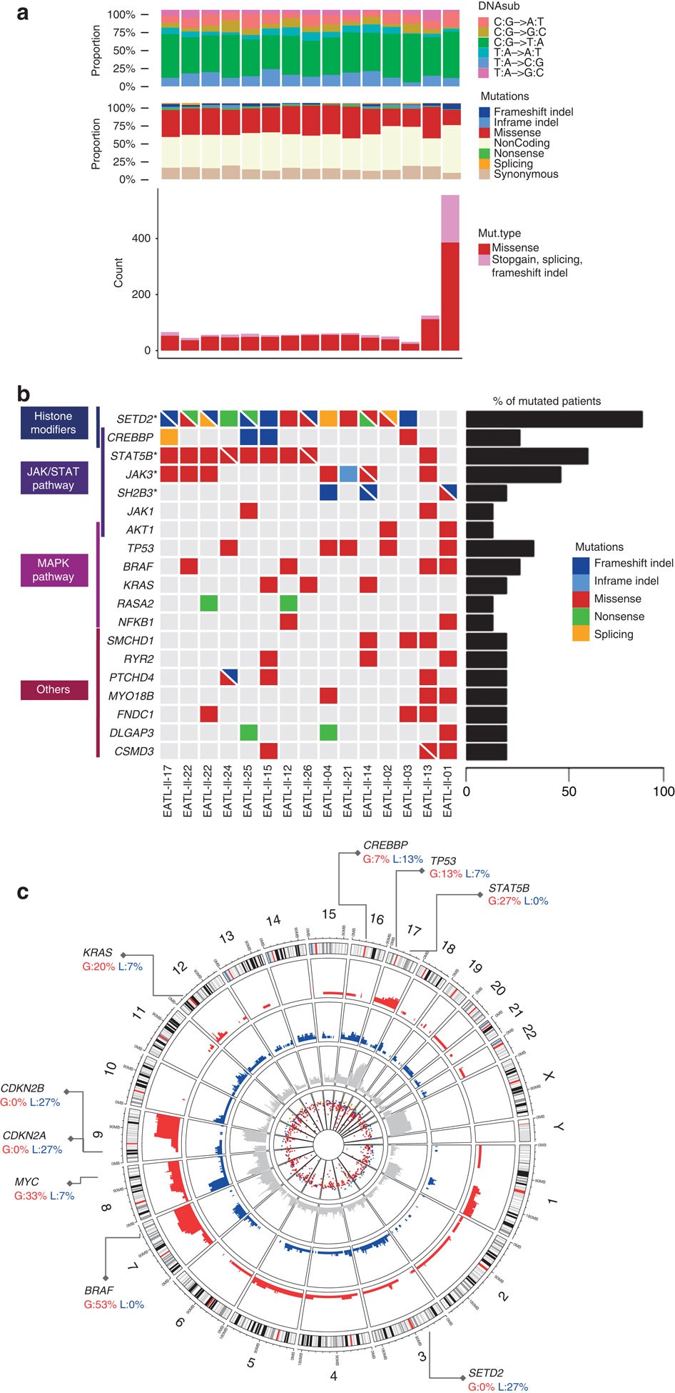 Type II enteropathy-associated T-cell lymphoma features a unique genomic  profile with highly recurrent SETD2 alterations | Nature Communications