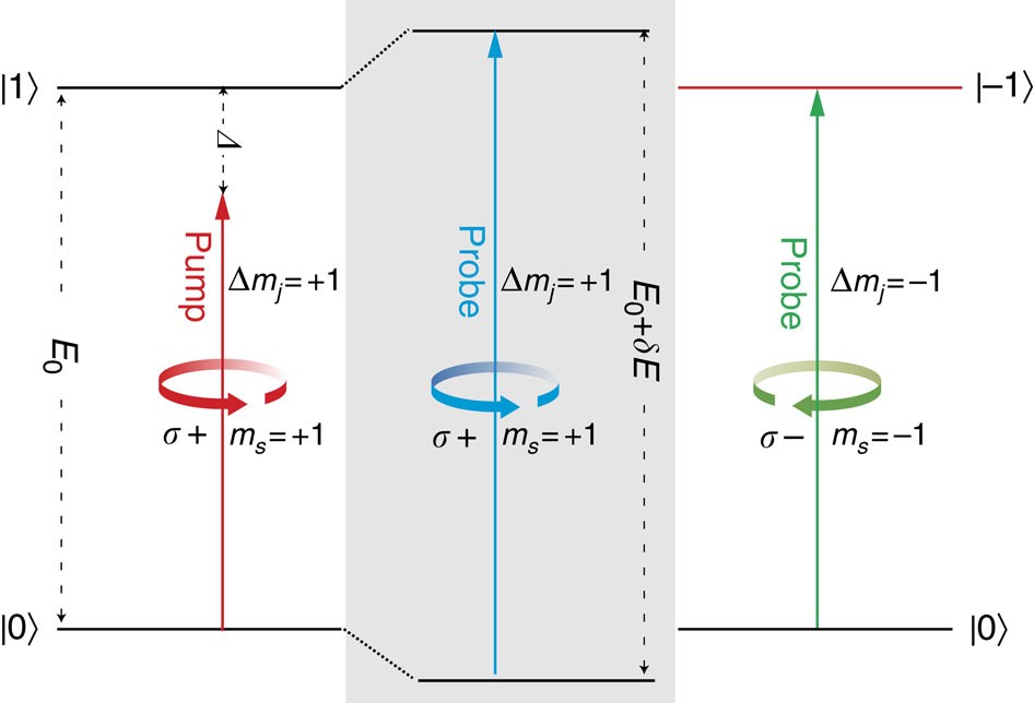 Sub-Single-Exciton Optical Gain in Lead Halide Perovskite Quantum Dots  Revealed by Exciton Polarization Spectroscopy