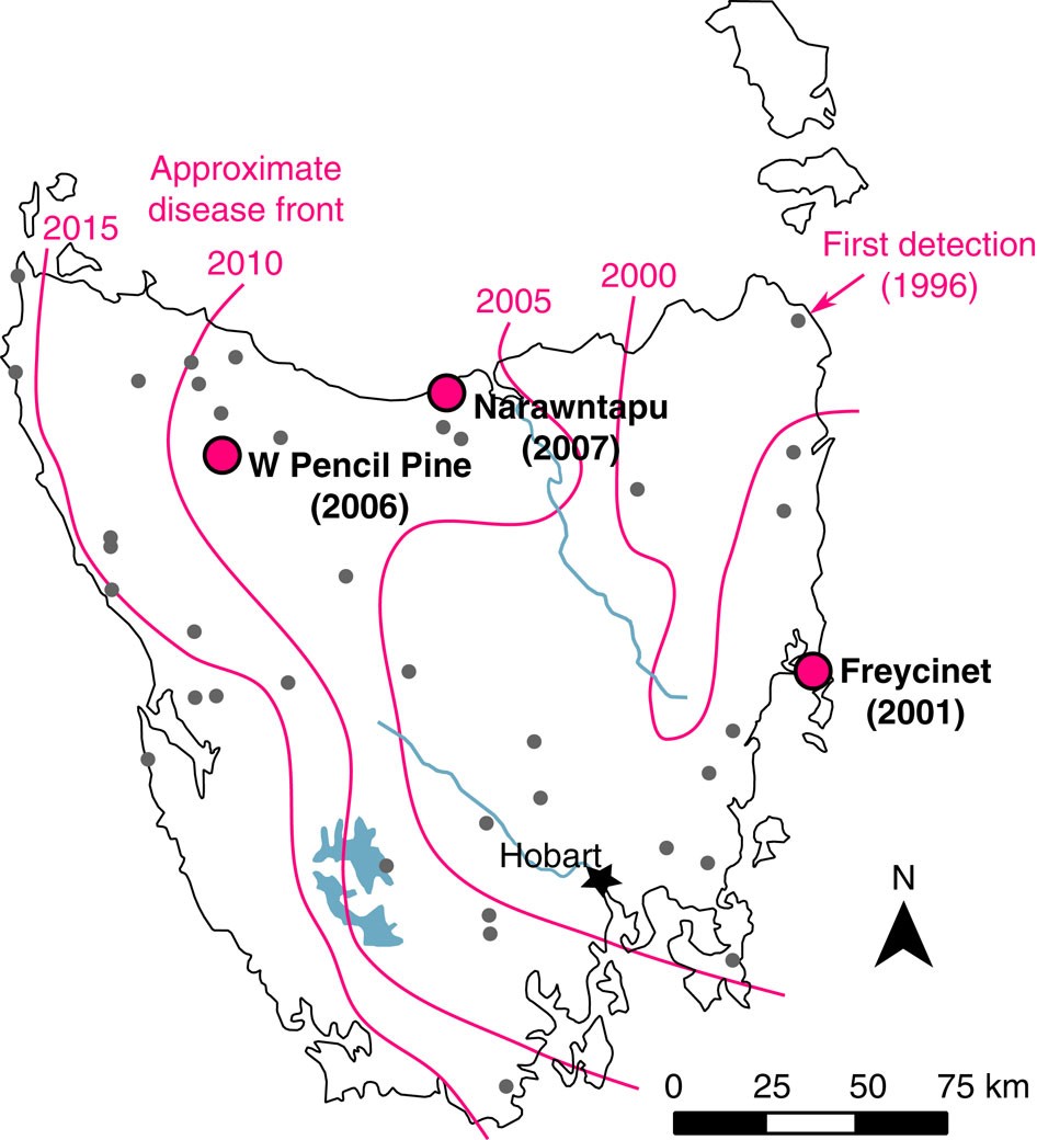 Rapid Evolutionary Response To A Transmissible Cancer In Tasmanian Devils Nature Communications Rapid Evolutionary Response To A Transmissible Cancer In Tasmanian Devils Nature Communications