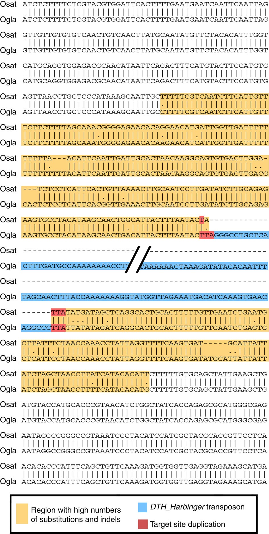 Dna Transposon Activity Is Associated With Increased