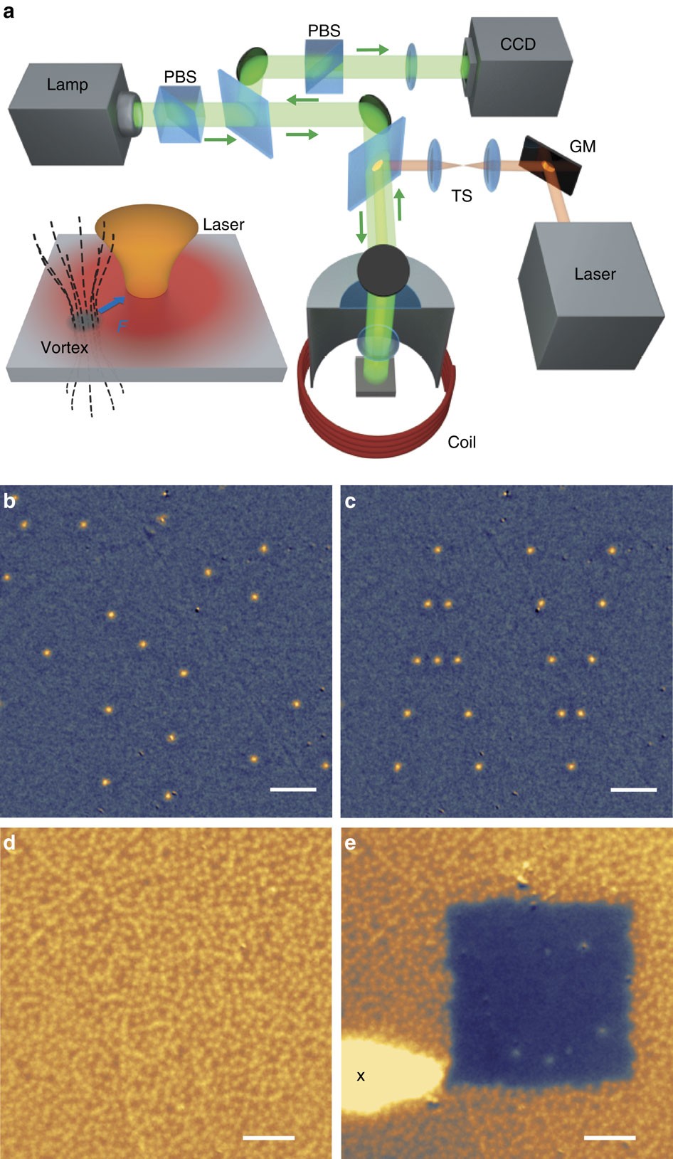 Electric Field‐Driven Rotation of Magnetic Vortex Originating from