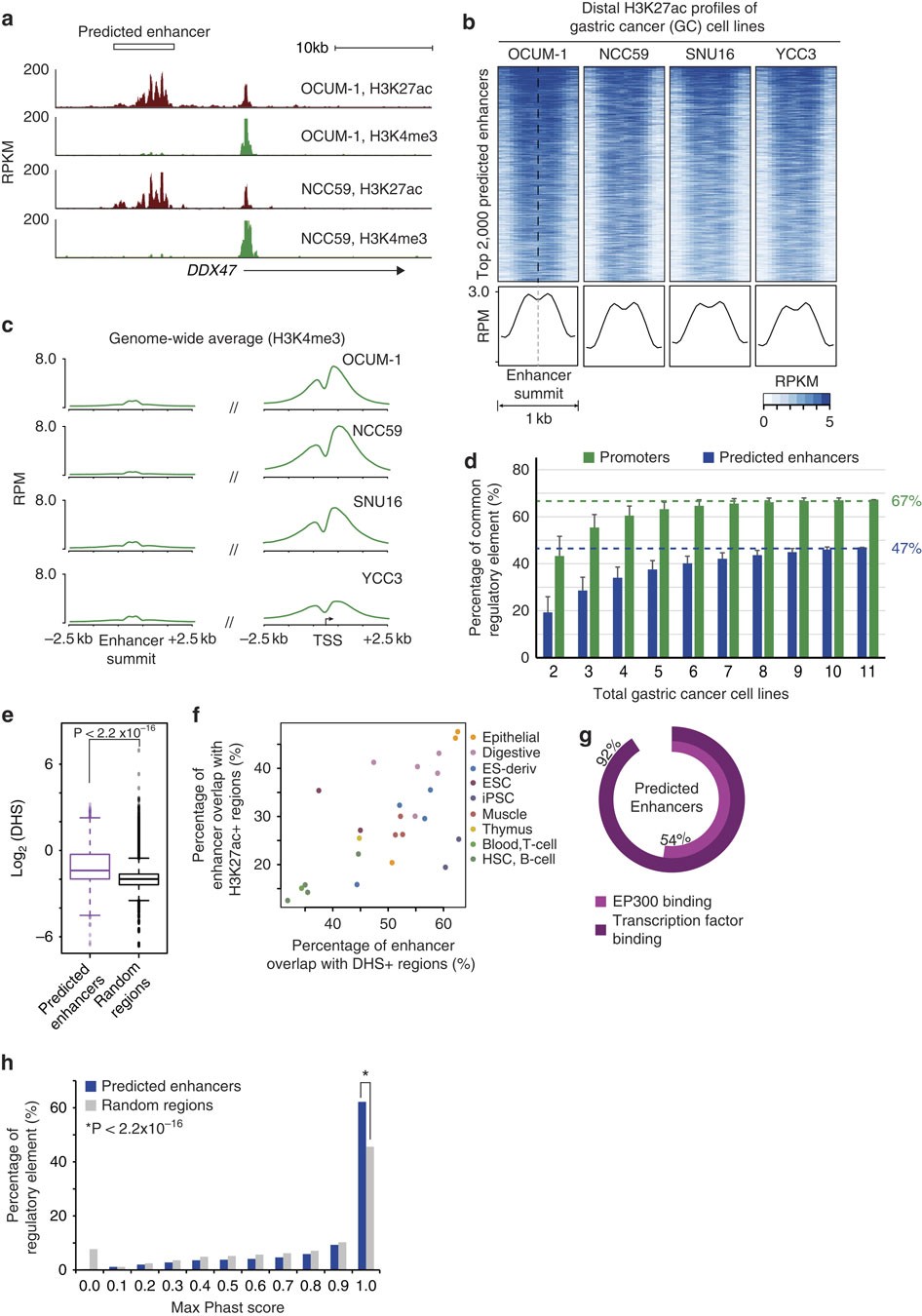 Epigenomic profiling of primary gastric adenocarcinoma reveals heterogeneity | Nature Communications