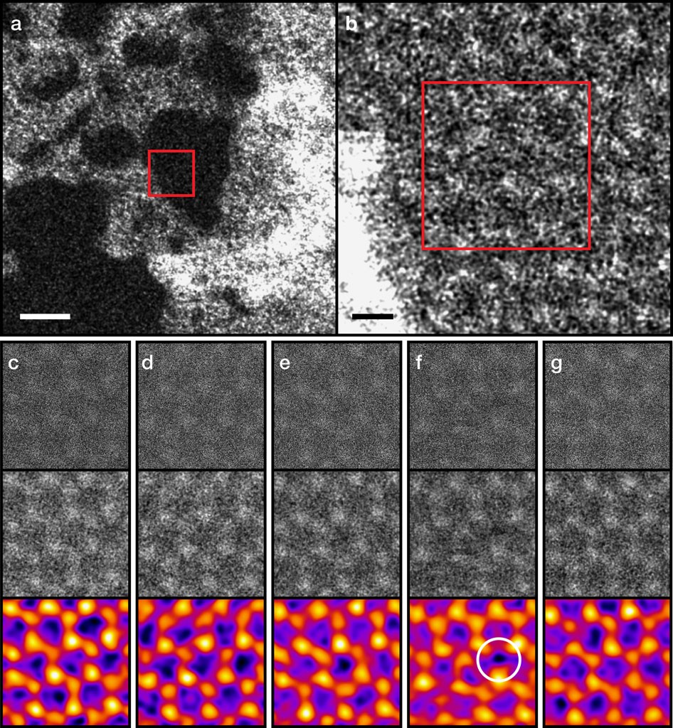 electron microscope images atom