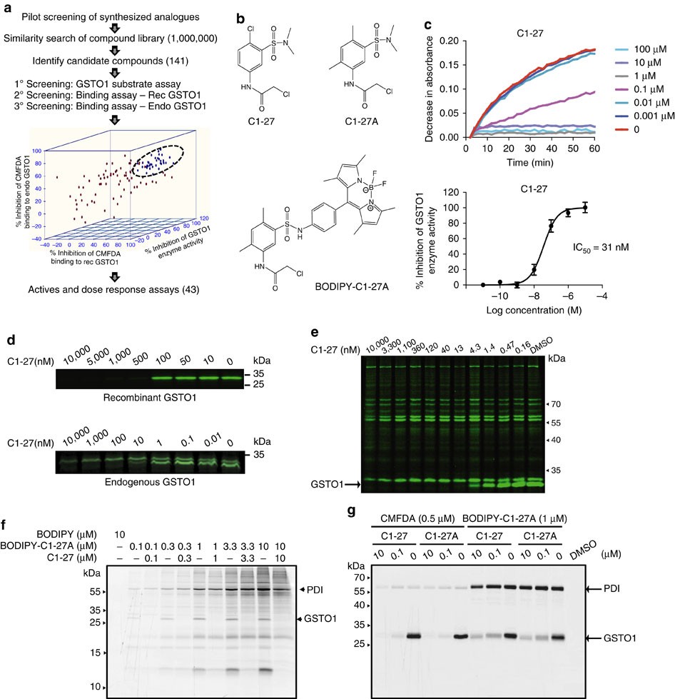 glutathione s-transferase a1 The Relationship of Glutathione-S-Transferase and Multi-Drug  Resistance-Related Protein 1 in Nitric Oxide (NO) Transport and Storage