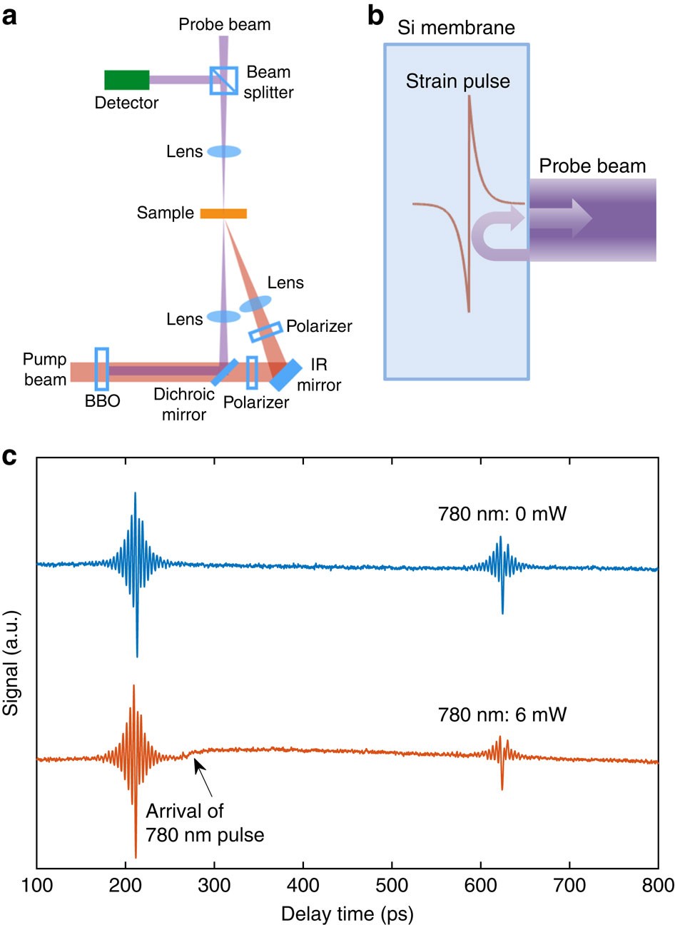 The phonon lifetime along phonon frequency at (a) 300 K, (b) 600 K