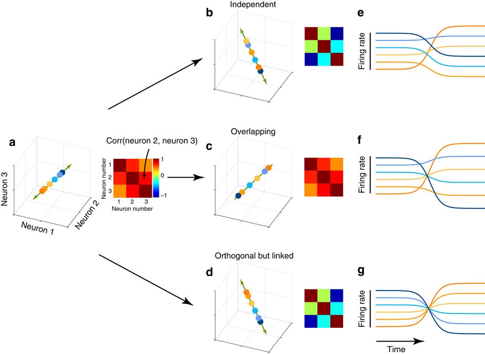 Reorganization between preparatory and movement population responses in  motor cortex | Nature Communications