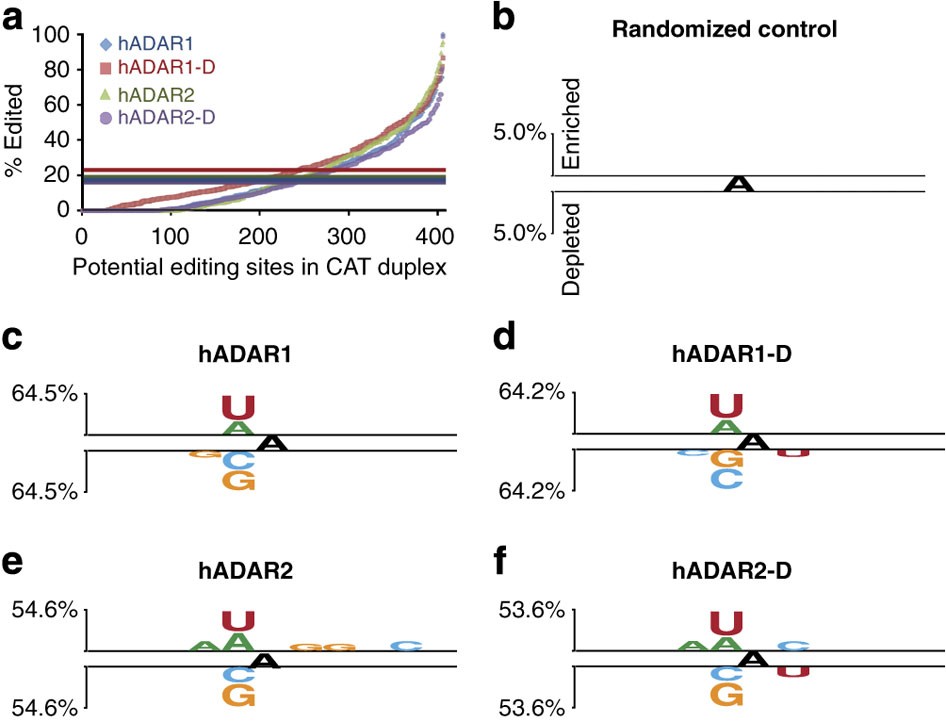 Predicting Sites Of Adar Editing In Double Stranded Rna Nature Communications Predicting Sites Of Adar Editing In Double Stranded Rna Nature Communications