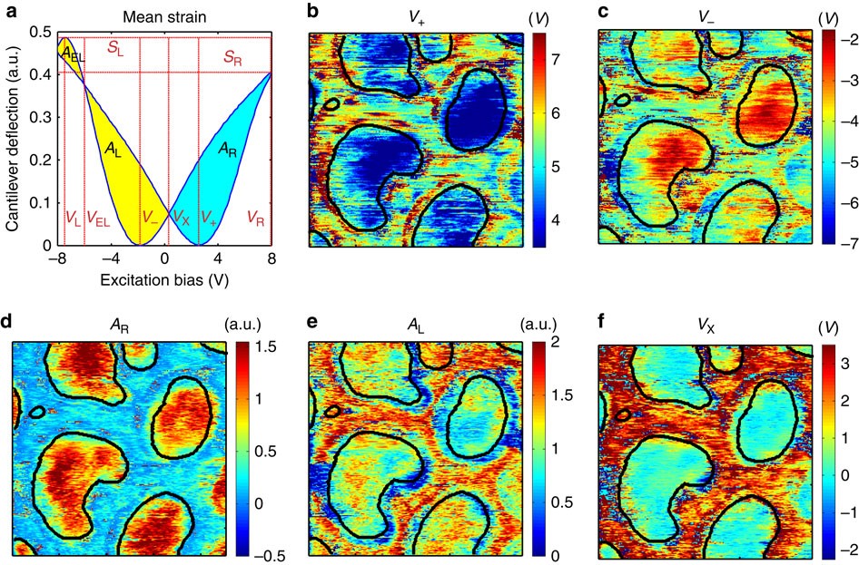 Figure 4: Analysis and spatial variation of the strain loop shape.