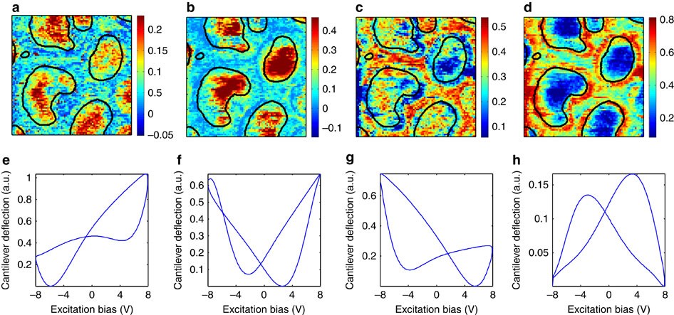 Figure 6: Bayesian Linear Unmixing of G-VS strain loops into four components.