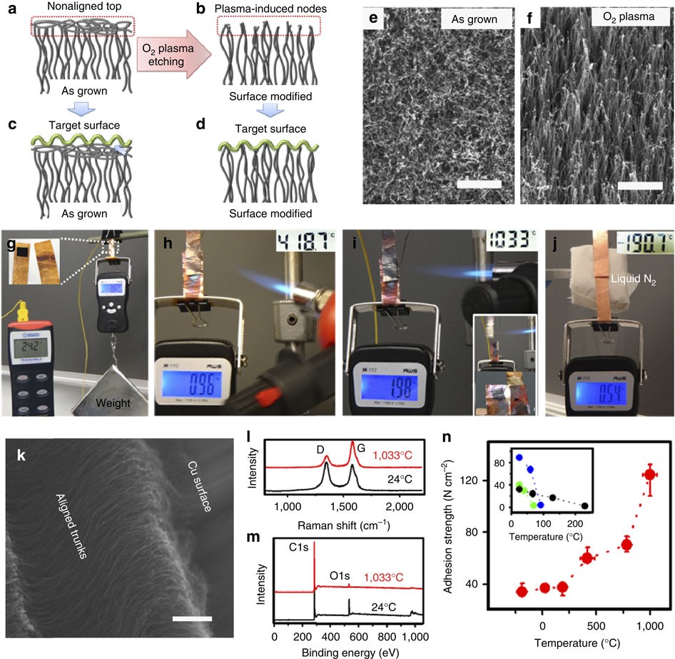 Carbon nanotube dry adhesives with temperature-enhanced adhesion over a  large temperature range | Nature Communications