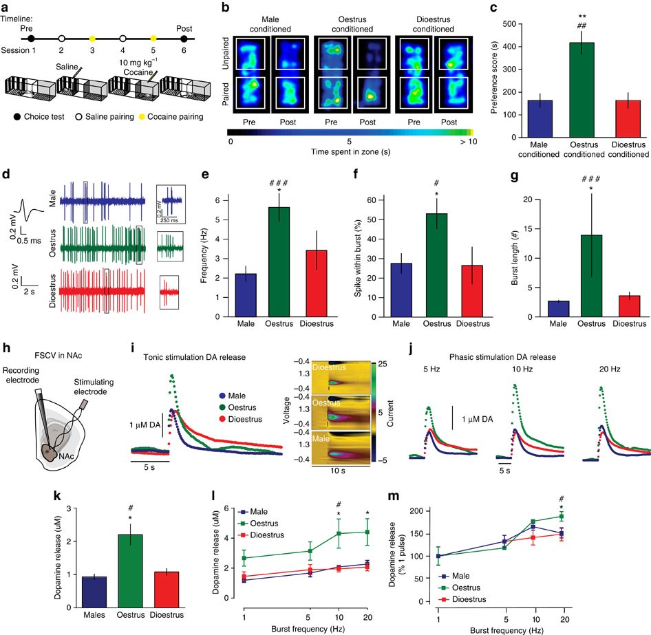 Dopaminergic dynamics underlying sex-specific cocaine reward Nature Communications photo