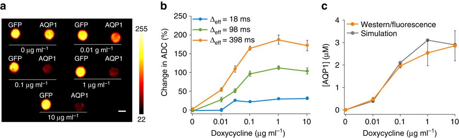 Figure 2: AQP1 reports gene expression over a large dynamic range.