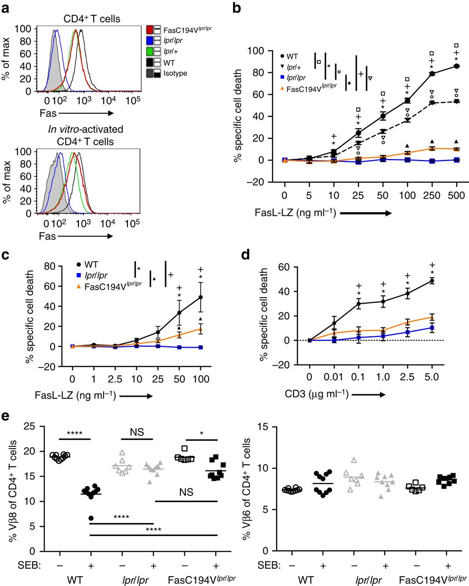 Figure 2: Fas C194V is defective in inducing T-cell apoptosis.