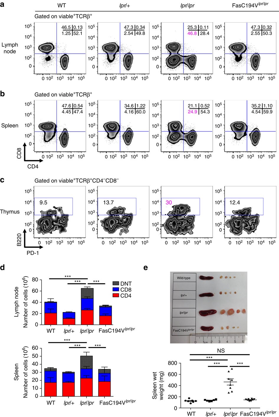 Figure 4: Fas C194V prevents lymphoaccumulation associated with Fas deficiency.